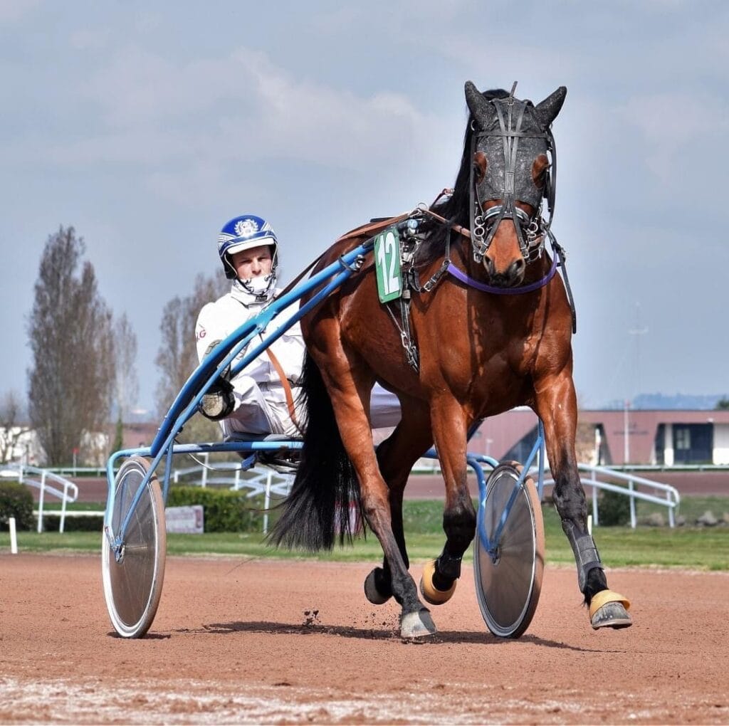 Pronostic PMU du Jour pour les courses au trot avec Hipiwin