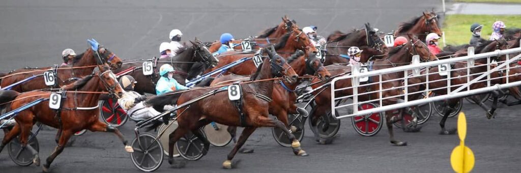 Abonnement Pronostic Quinté PMU Trot